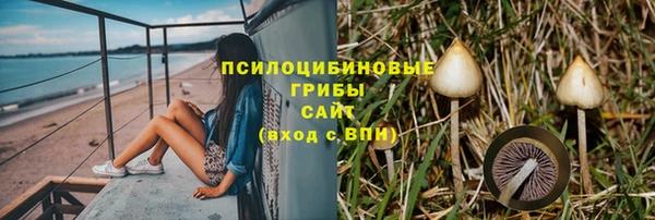 гидра Кукмор